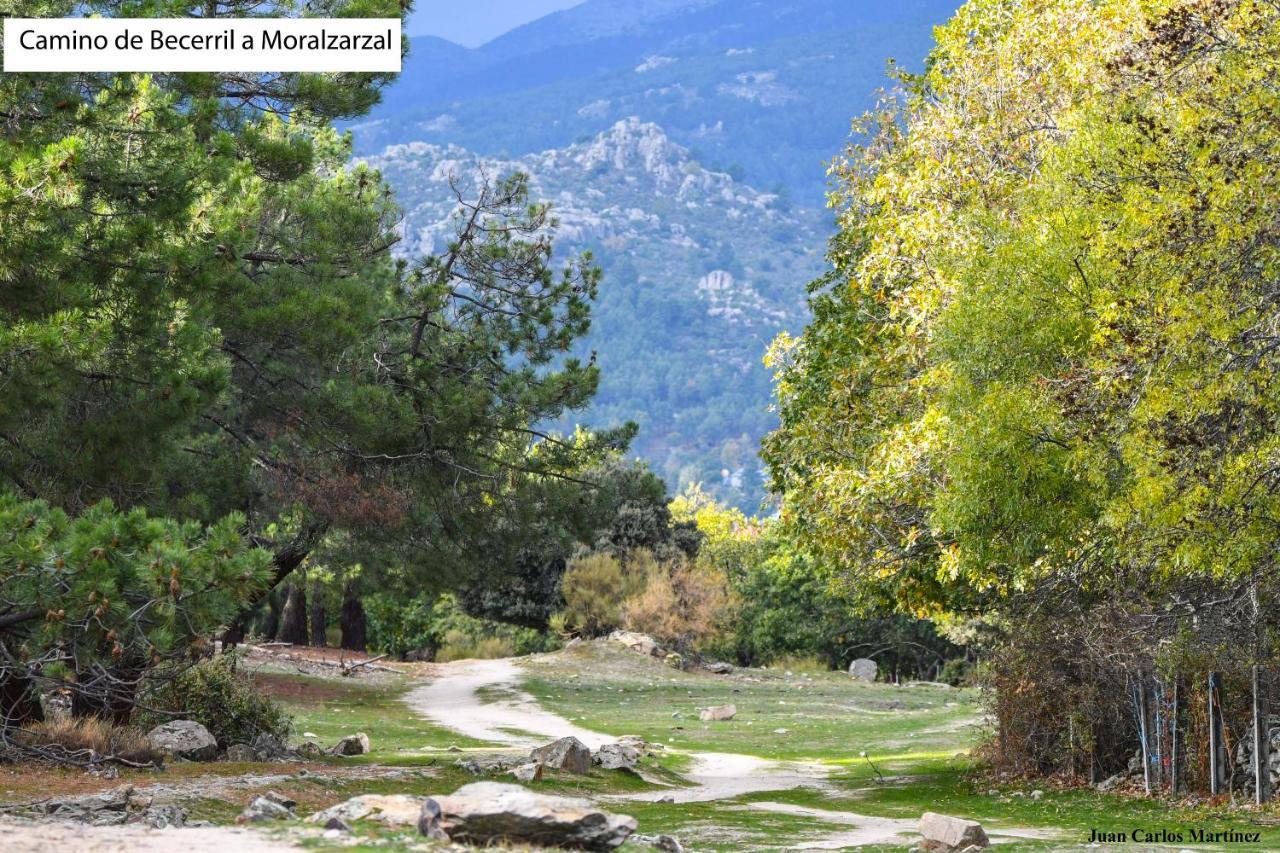 Casa Rural El Trepador Azul Futbolín Barbacoa 8 personas Becerril de la Sierra Exterior foto